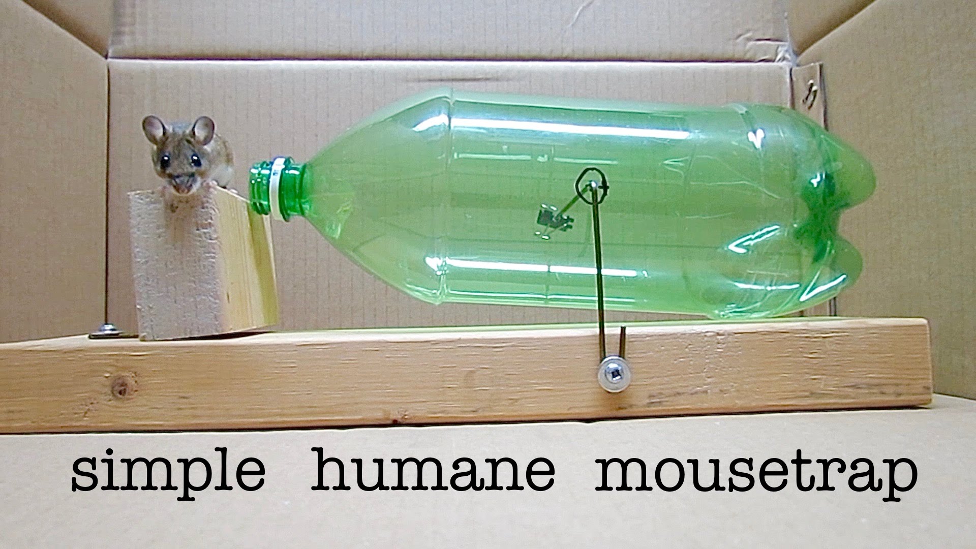 sime-mouse-trap